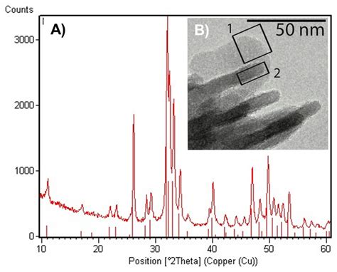  Nano-Hydroxyapatite: The Miracle Material Shaping the Future of Bone Regeneration!