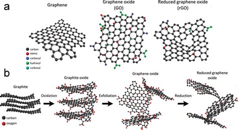  Exfoliated Graphene Oxide: Siêu Chất Liệu Mỏng Năng Động cho Tương Lai Bóng Răm?