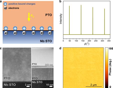  Ferroelectric Oxide:  Chìa khóa Mở Rộng Trên Những Con Đường Điện Tử Miniaturization!