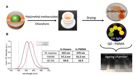  InP Nanoquantum Dots: Unleashing Their Potential for High-Efficiency Solar Cells and Advanced Bioimaging Applications!