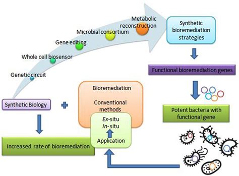  Lactate –  Một Vật Liệu Sinh Học Hứa Hẹn Trong Các Ứng Dụng Y Tế Tương Lai!