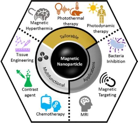  Magnetite: Vật liệu từ tính sinh học cho ứng dụng y tế!