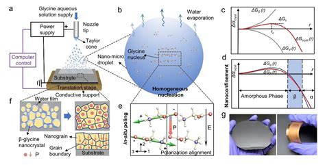 Resorbable Biomaterial: The Future of Medicine?