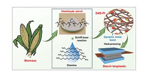  Sago Starch: Unleashing its Potential for Bioplastics and Food Applications!