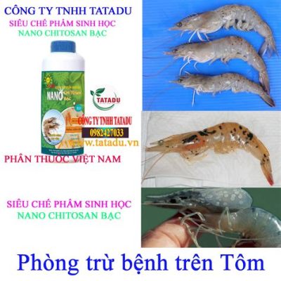  Tôm Chitosan: Siêu Vật Liệu Sinh Học Trong Kỹ Thuật Y Tế và Nông Nghiệp