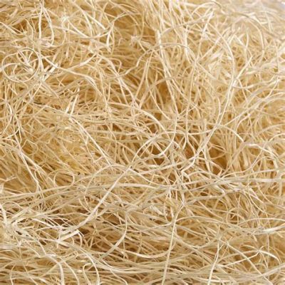  Viscose: Tìm Hiểu Về Loại Sợi Thiên Nhiên Từ Gỗ!