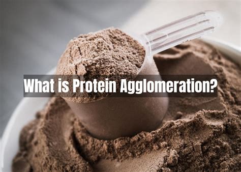  Whey Protein –  Unlocking its Potential as a Nutritional Powerhouse and Versatile Ingredient!